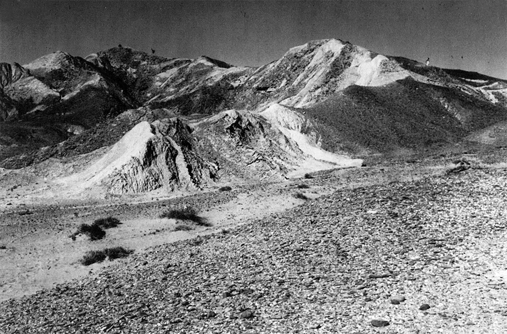 sotka koh