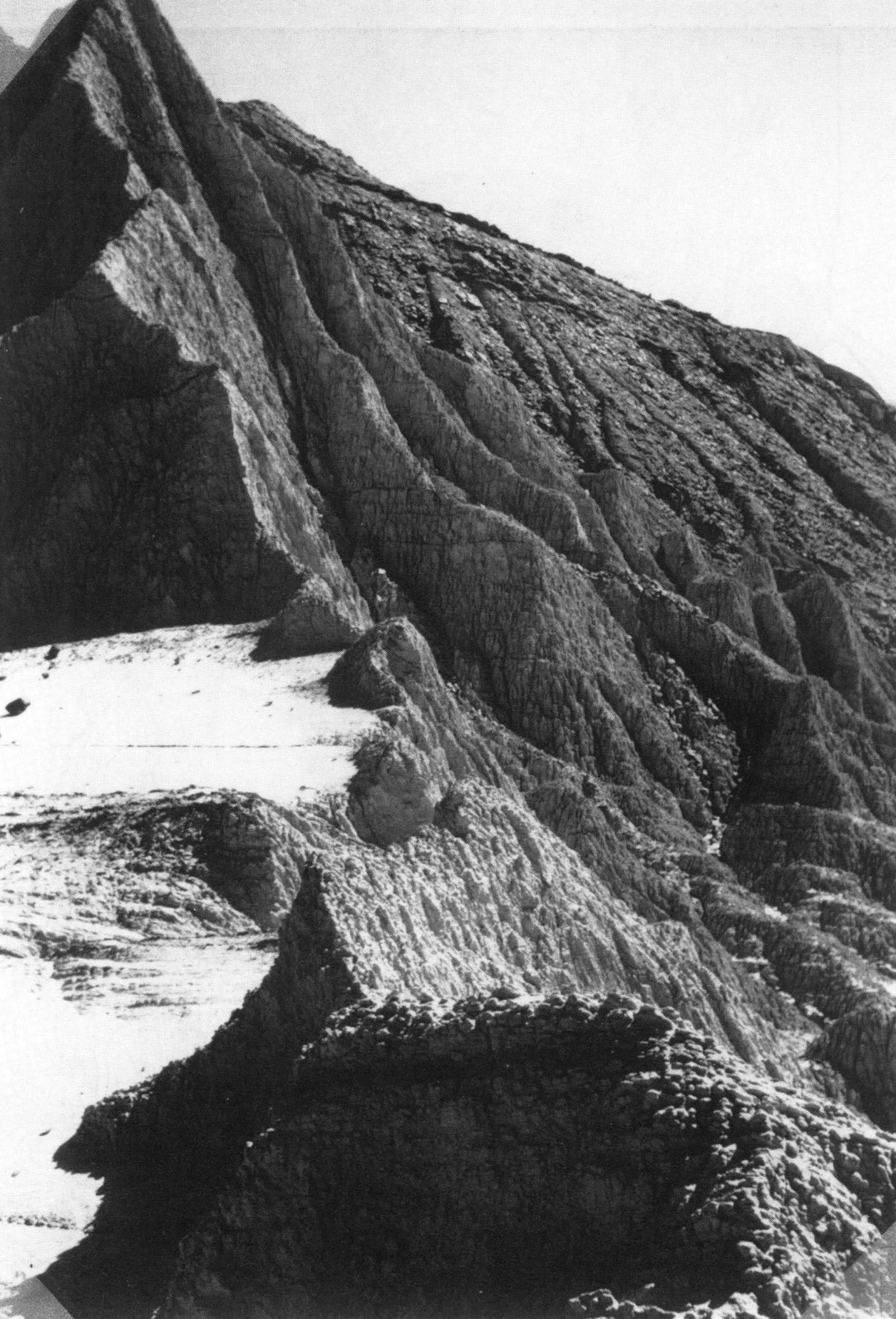 sutka koh