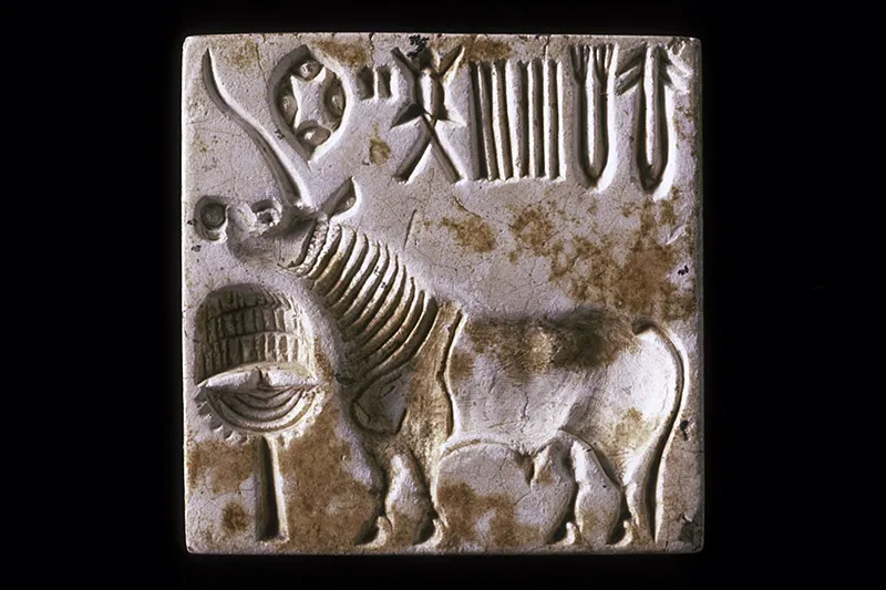 steatite unicorn seal from Harappa