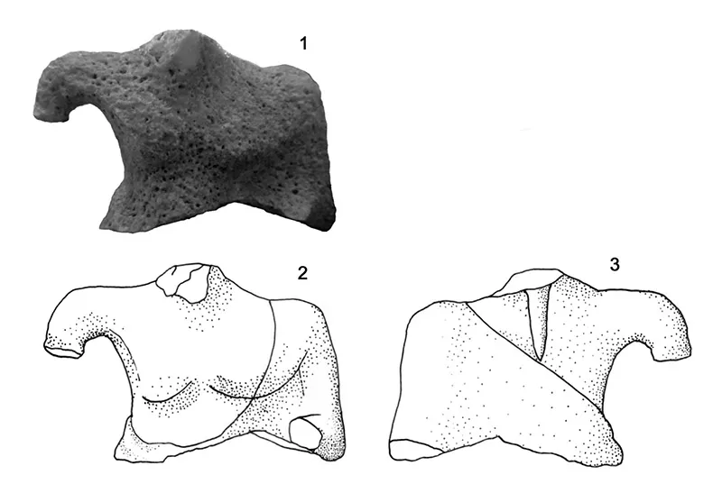 A frontal picture of the Zahedan torso