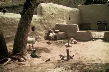 Mohenjo-daro, Modern terraced courtyard in Harappa town