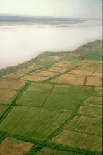 Indus River at Mohenjo-daro