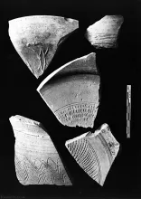 Pottery Sherds, Mohenjo-daro