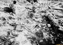 Group of skeletons in Room 74, House V.