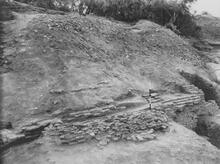 Fallen Fired Brick on Mound, Mohenjo-daro 