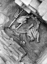 Camel Skeleton Mohenjo-daro