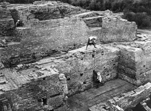Mohenjo-daro, "Granary," 1950