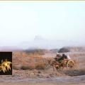 Early morning mist at Mohenjo-daro with the Buddhist stupa perched on top of the "citadel" mound. 