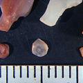 Sidis in the Agate Bead Industry of Western India