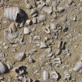 Shell Middens of the Coast of Balochistan - Paolo Biagi