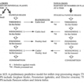 a diagram from the article