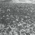 Sindh Excavations