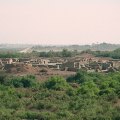 Harappa: New Discoveries on its Origins and Growth