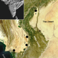 The Levallois Mousterian Assemblages of Sindh (Pakistan) and their Relations with the Middle Paleolithic of the Indian Subcontinent