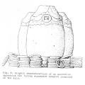 Kiln 