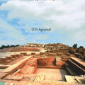 The Indus Civilization an Interdisciplinary Perspective by D.P. Agrawal