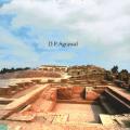 The Indus Civilization an Interdisciplinary Perspective by D.P. Agrawal