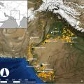 Animals Indus Valley