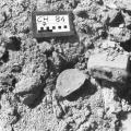 Surface Evidence of Craft Activity at Chanhu-daro 