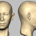 Craniofacial reconstruction of the Indus valley civilization individuals