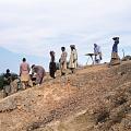 The Indus Valley Tradition of Pakistan and Western India