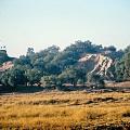 Harappa mound 