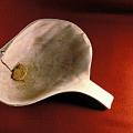 Shell Ladle