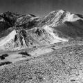 sotka koh