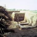 Mohenjo-daro, Bathing area and latrine in Harappa town