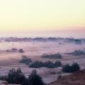 Mohenjo-daro Lower Town in the mist