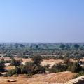 Farmlands to the west of Mohenjo-daro
