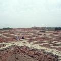 Mohenjo Daro Lower Town: VS Area