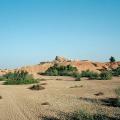 Mohenjo-daro "Citadel" Mound and Stupa