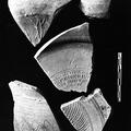 Pottery Sherds, Mohenjo-daro