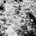 Group of skeletons in Room 74, House V.