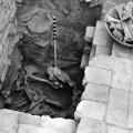 Camel Skeleton Mohenjo-daro