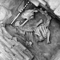 Camel Skeleton Mohenjo-daro